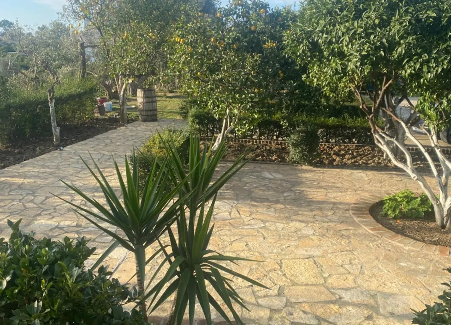 Hotel Dini Radhimë 게스트하우스