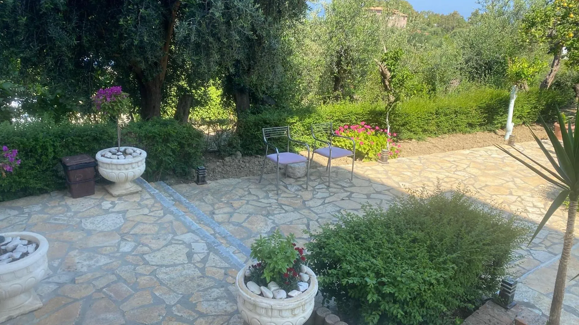 Hotel Dini Radhimë 0*,  Albania